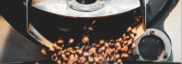 MR. TINTO BURUNDI TURACO WASHED COFFEE BEANS - Image 2